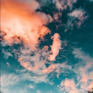 Meet your Posher, Mia